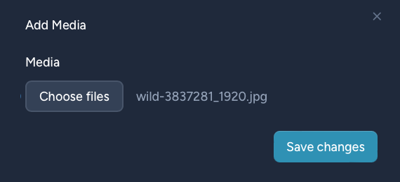 Upload your photos to Slight Exposure